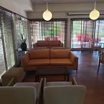 Ibis