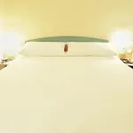 Ibis